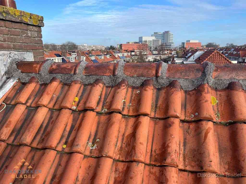 Bladel Daken Renoveren Bladel Daken Renoveren