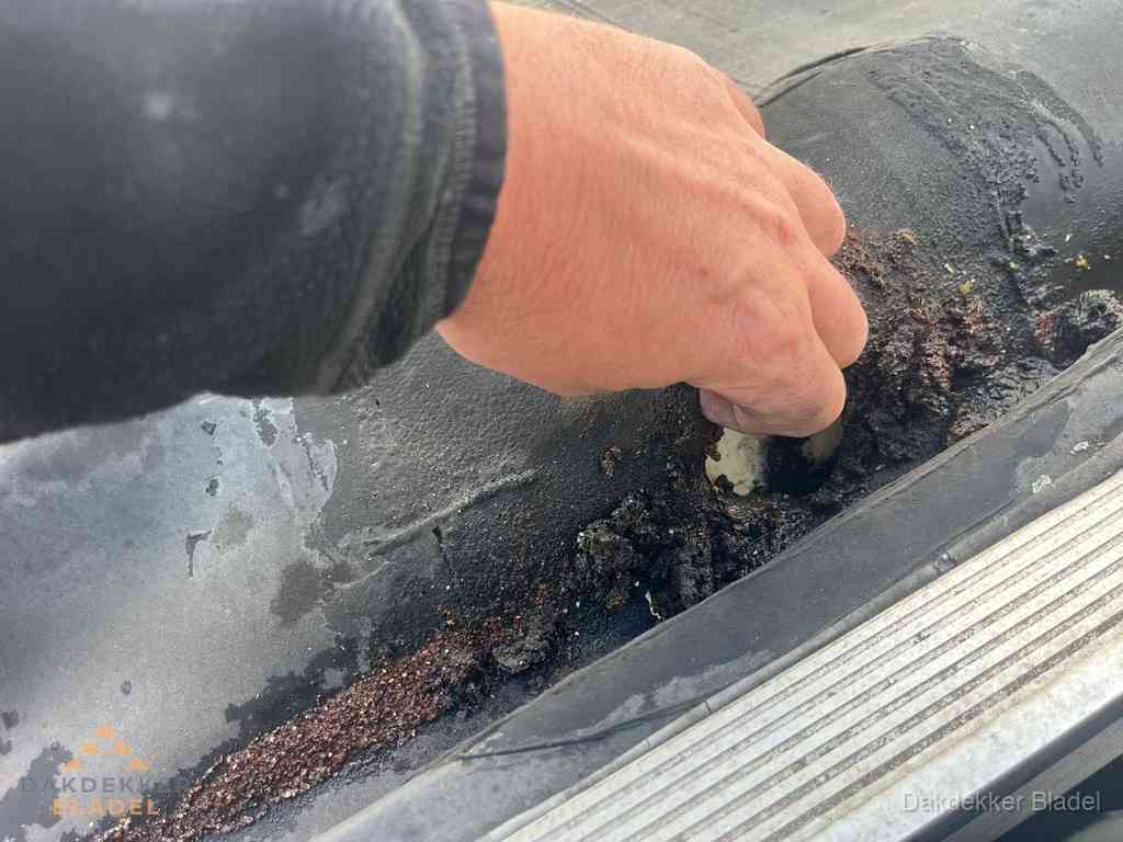 Plat Dak Reparatie Bladel Plat Dak Reparatie Bladel