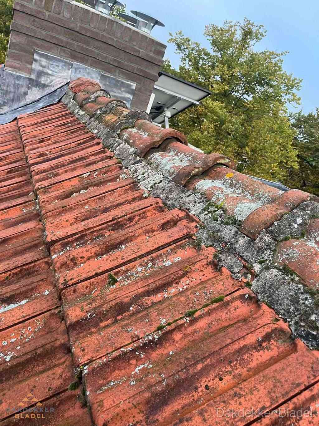Renovatie Hellend Dak Bladel Renovatie Hellend Dak Bladel